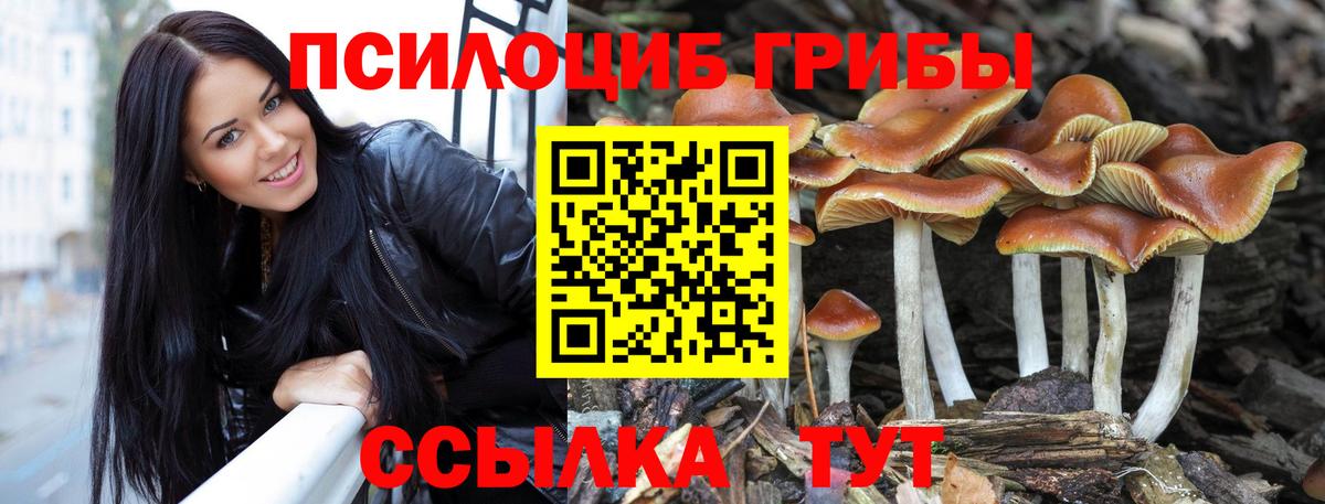 Галлюциногенные грибы Psilocybe  где можно купить наркотик  Барнаул  Вход с VPN  Галлюциногенные грибы Magic Shrooms 